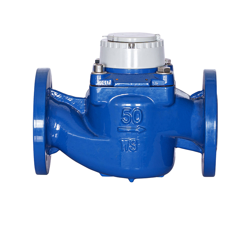 WS-DN40-DN200 High-Precision Vertical Spiral Wing Detachable Water Meter