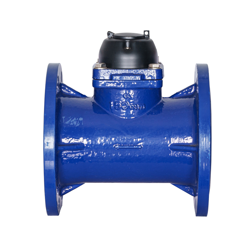 WI-DN50-DN200 Water Cube Irrigation Water Meter