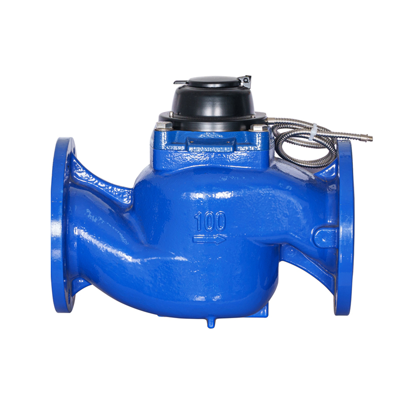 WS-DN40-DN200 High-Precision Vertical Screw Wing Detachable Photoelectric Direct-Reading Water Meter