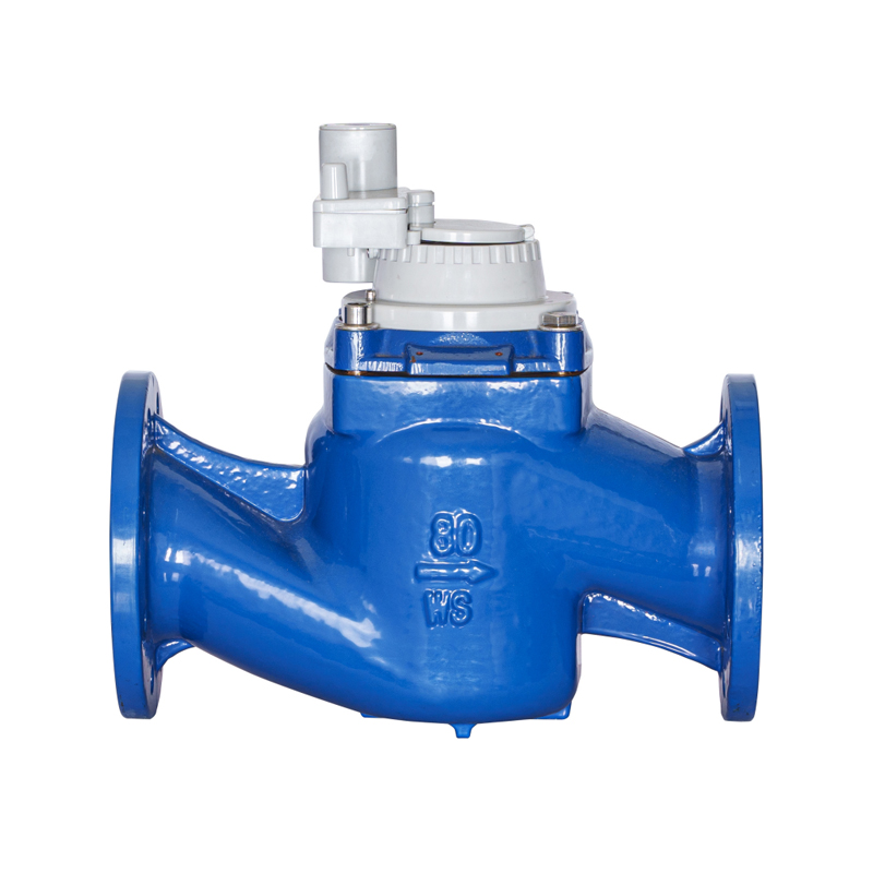 WS-DN40-DN200 High-Precision Vertical Screw Wing Detachable Non-Magnetic Integrated Water Meter