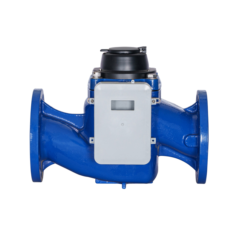WS-DN40-DN200 High-Precision Vertical Screw Wing Detachable NB Water Meter