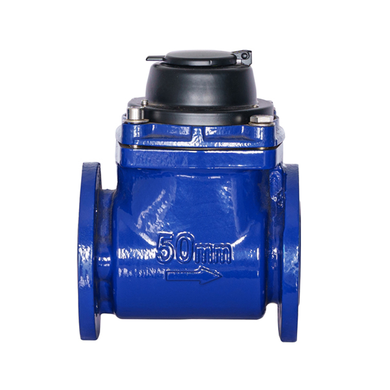 WPH DN50-DN200 Horizontal Detachable Spiral Wing Water Meter