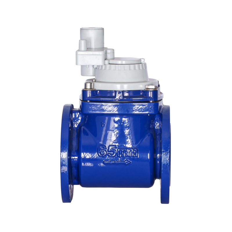 WPH DN50-DN200 Horizontal Detachable Screw Wing Non-Magnetic Integrated Water Meter